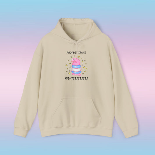🐍 Protect Trans Rightssss Hoodie 🐍