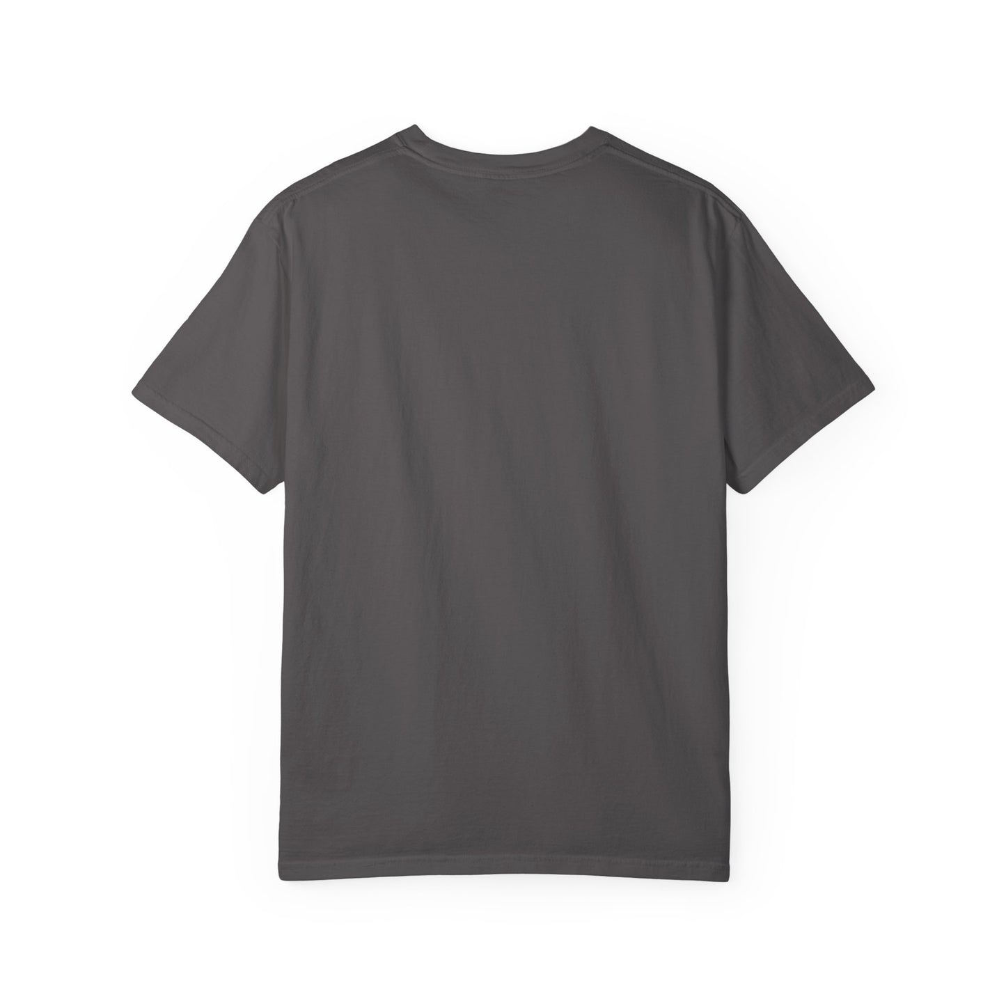 Seahorse Dads are Sacred T-Shirt