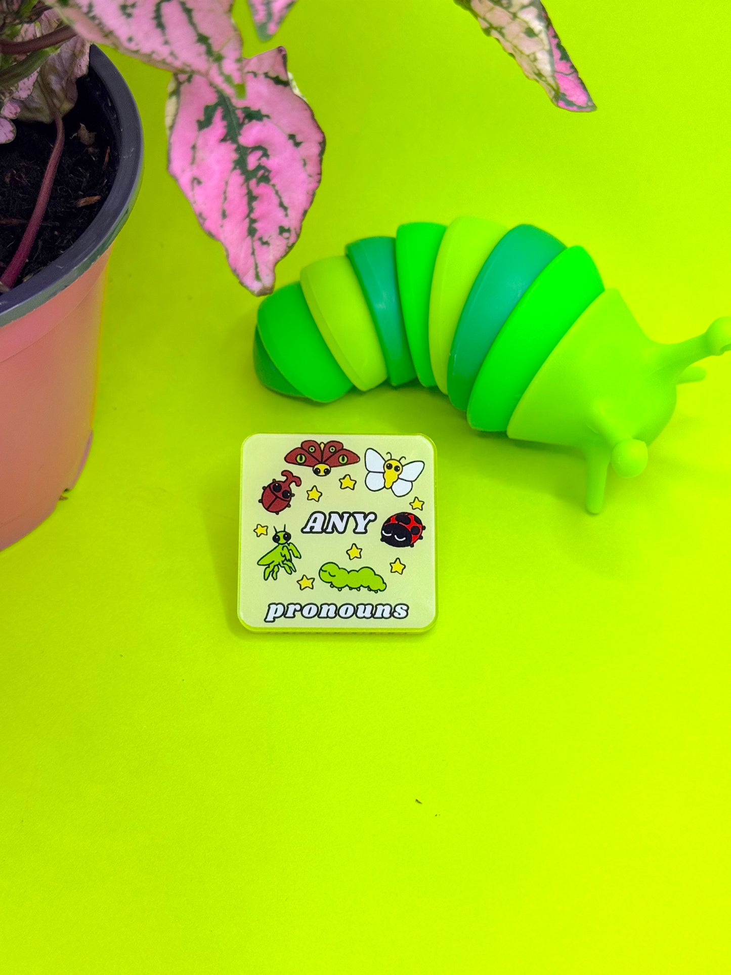 Bug Acrylic Pronoun Pins