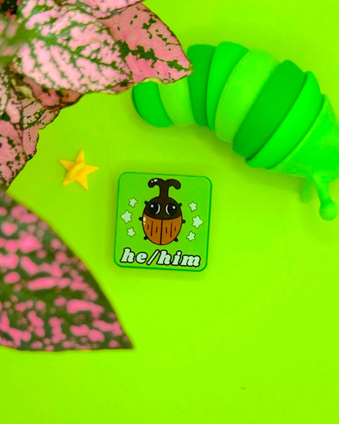 Bug Acrylic Pronoun Pins