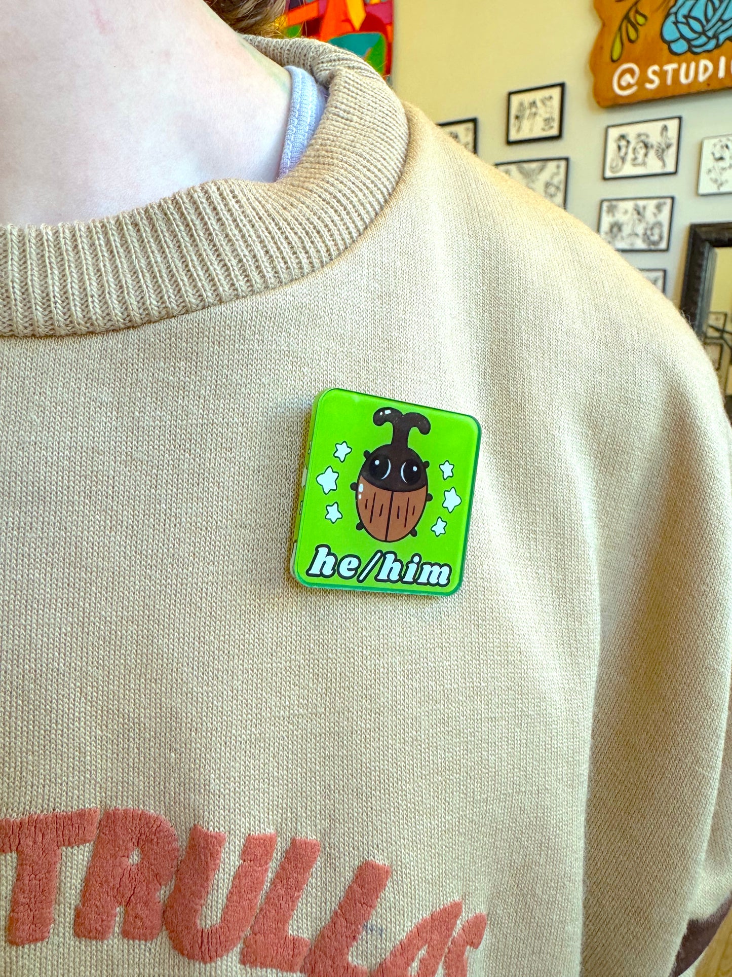 Bug Acrylic Pronoun Pins