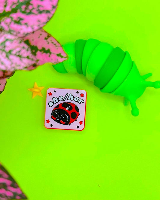 Bug Acrylic Pronoun Pins