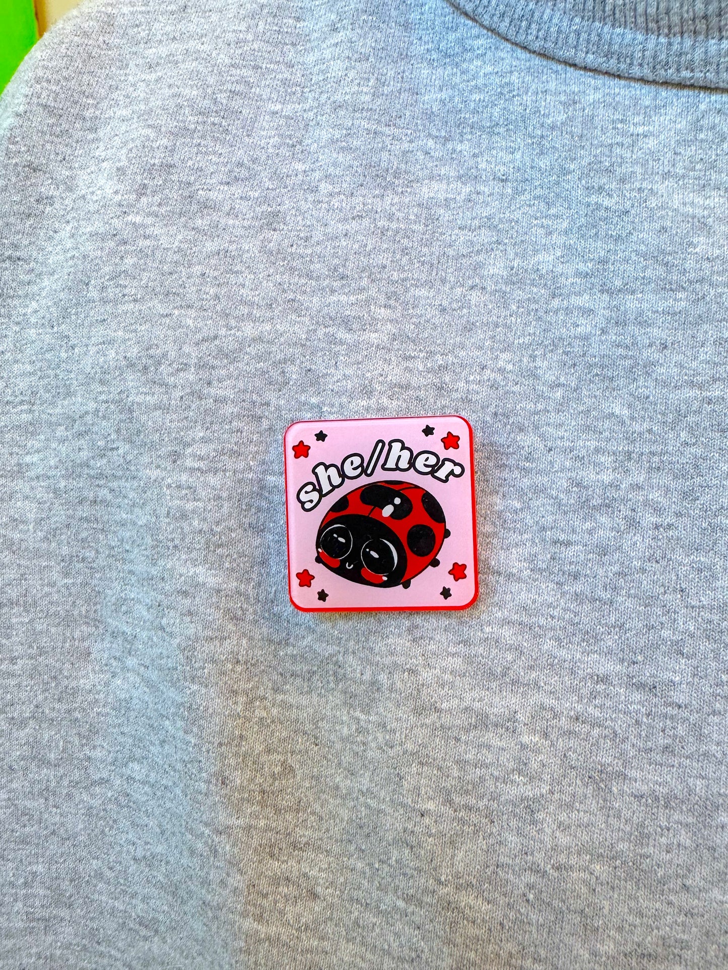 Bug Acrylic Pronoun Pins