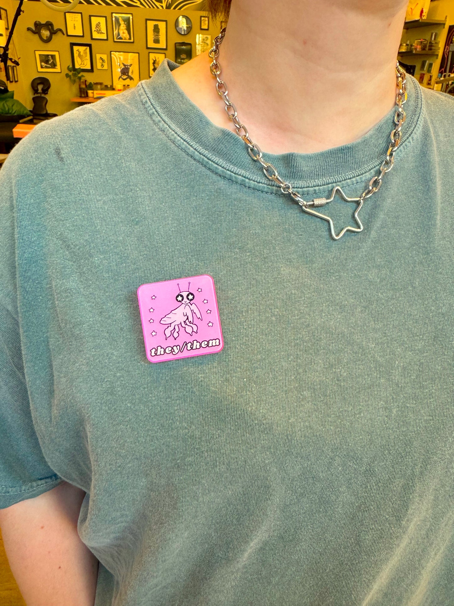 Bug Acrylic Pronoun Pins