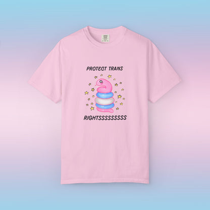Protect Trans Rightssssss Snake Tee 🐍
