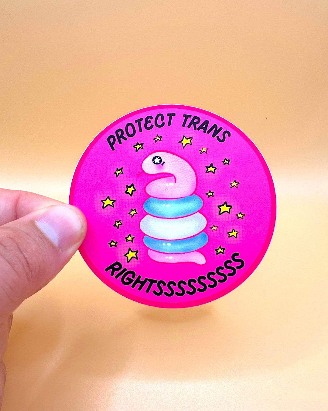 Protect Trans Rights/Kids Snake Stickers